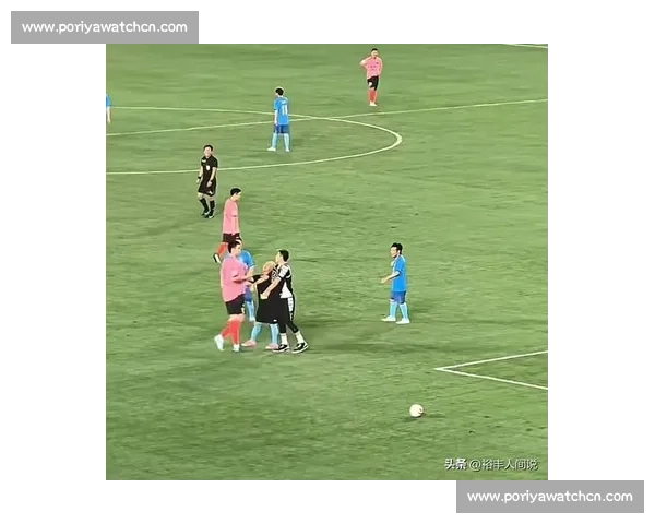 球场 蝇 雄传：田娃赵大牛耍帅翻车记